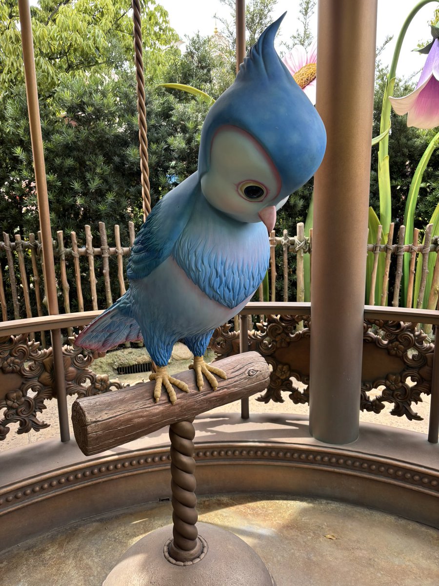 目と tweet media