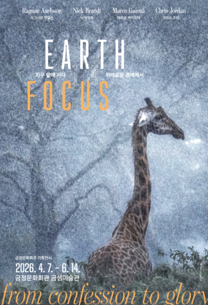 토끼 'ㅅ' ❁ tweet media