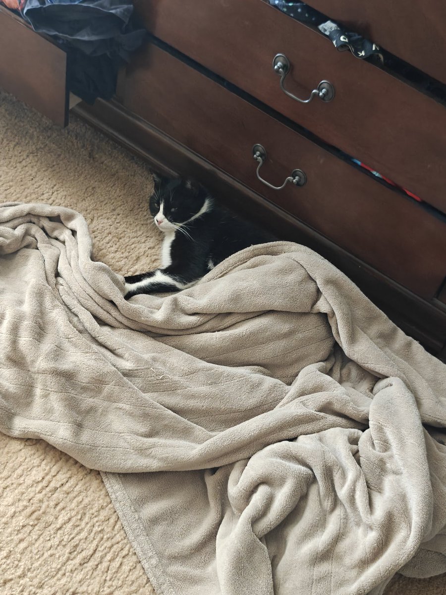 Leaf Simp tweet media