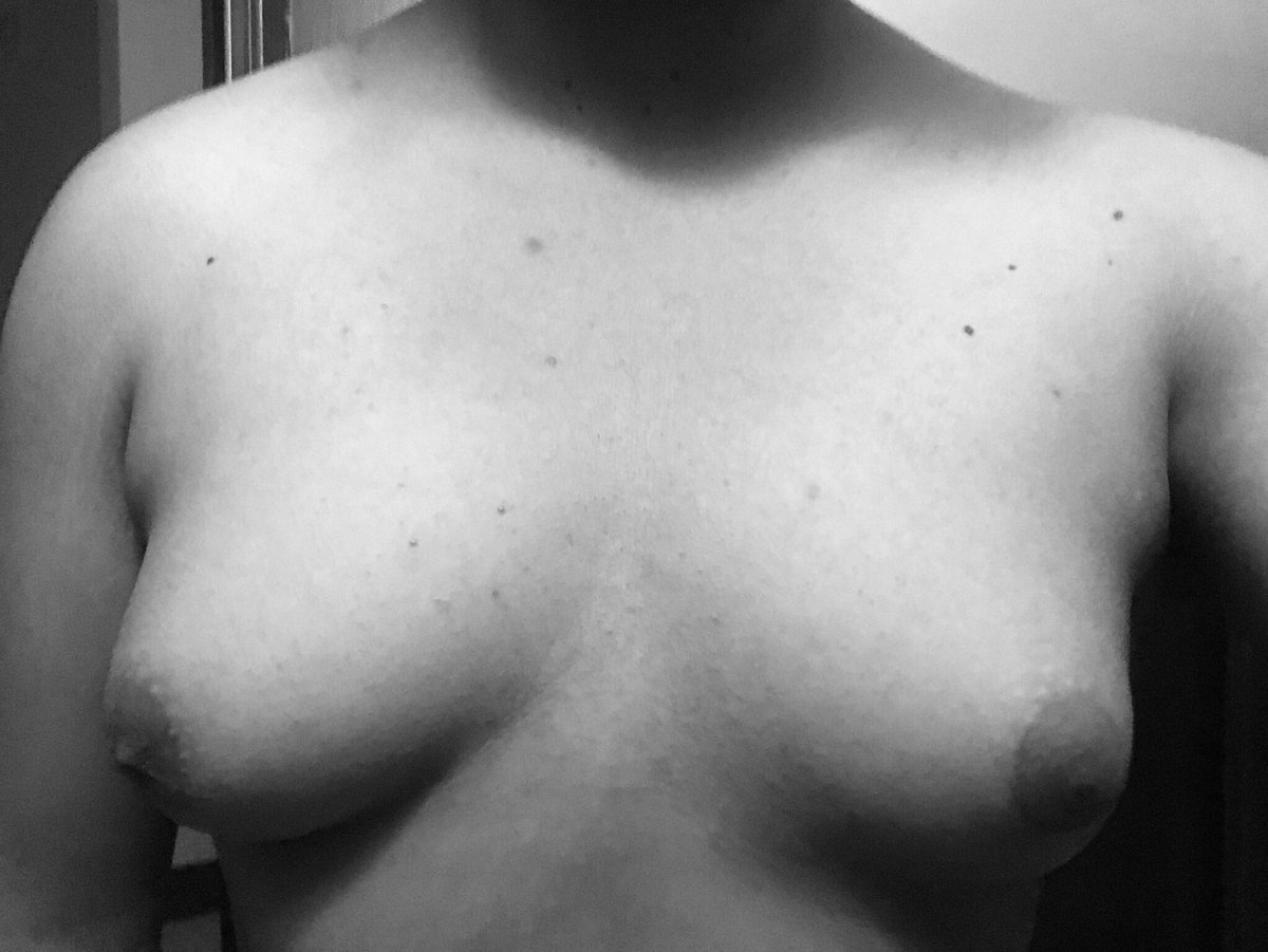 Fernanda tweet media