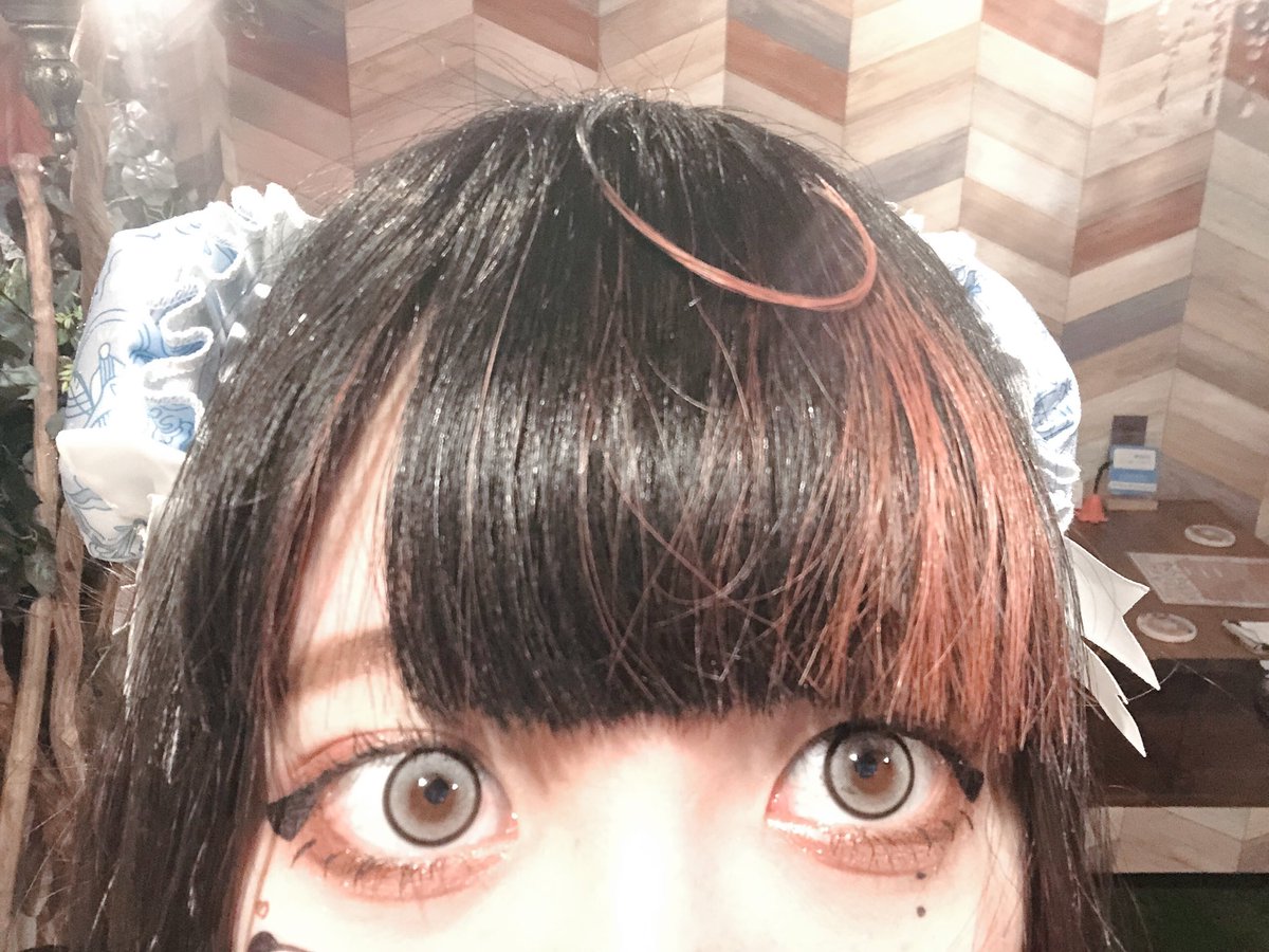 のりあ。🦈CCcafe Annex tweet media