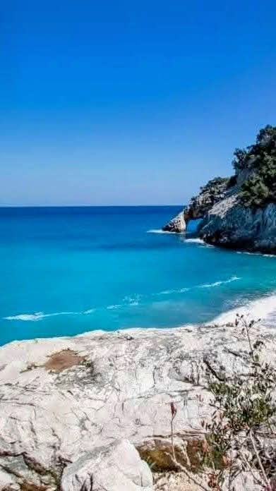 Tranquillo tweet media