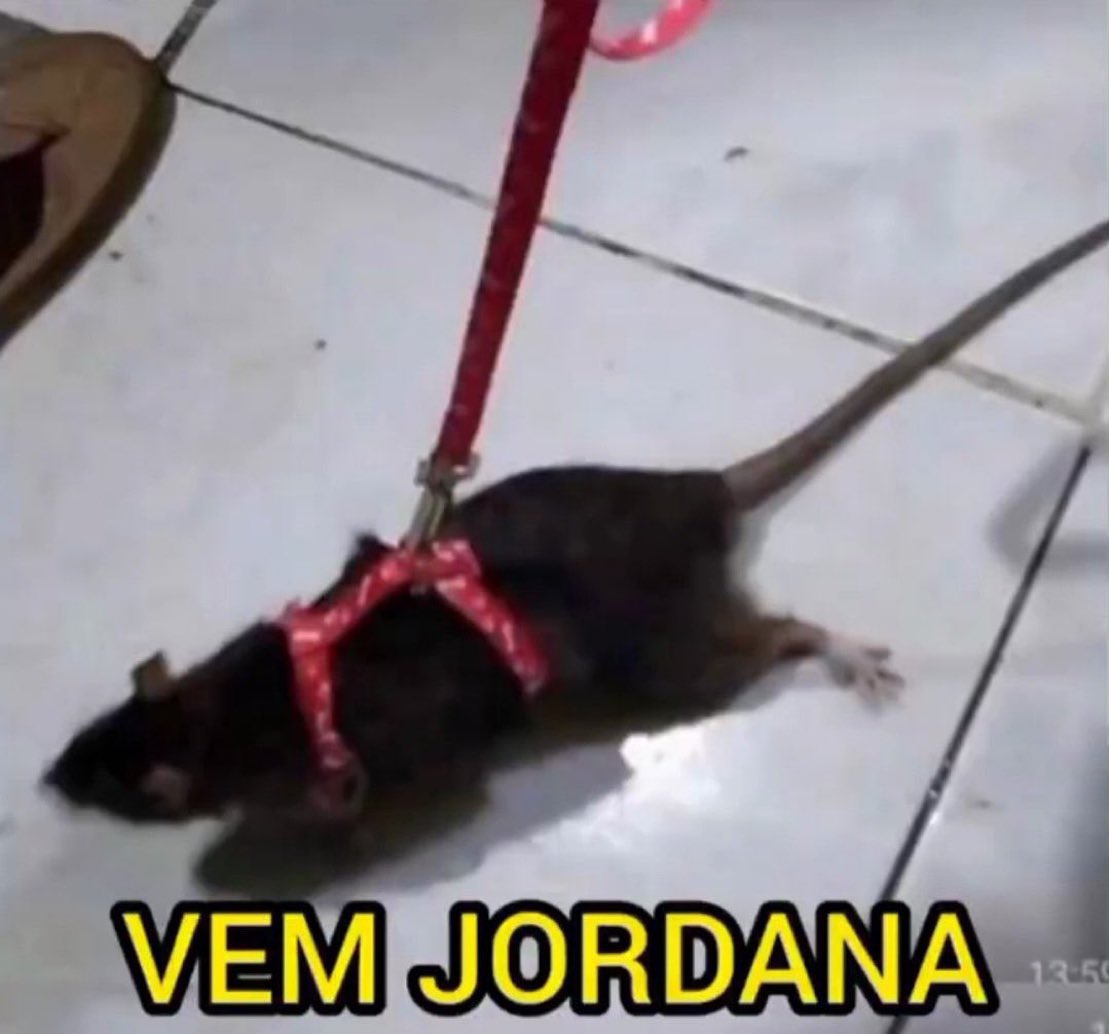 milena 🧙‍♀️ tweet media