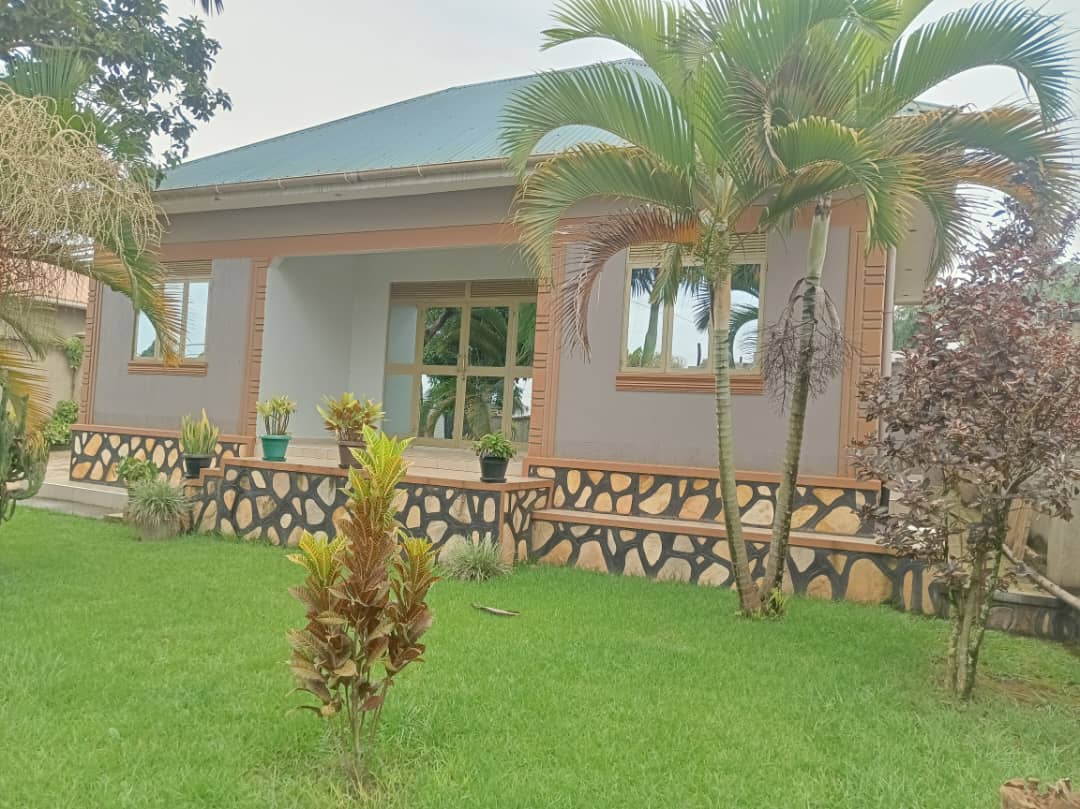 shukranproperty's tweet photo. @wekesa_amos @_GL_Collection House 🏠 For Sale
#Seeta on Namugongo Road
#2bedrooms #2bathrooms & 2 boys quarters
Seatef on #12Decimals private mailo Title
Beautiful compound with flowers & trees
Just #400meters off tarmac
Selling at #150m Ugx
0706592177 https://t.co/fmaaepIfVm