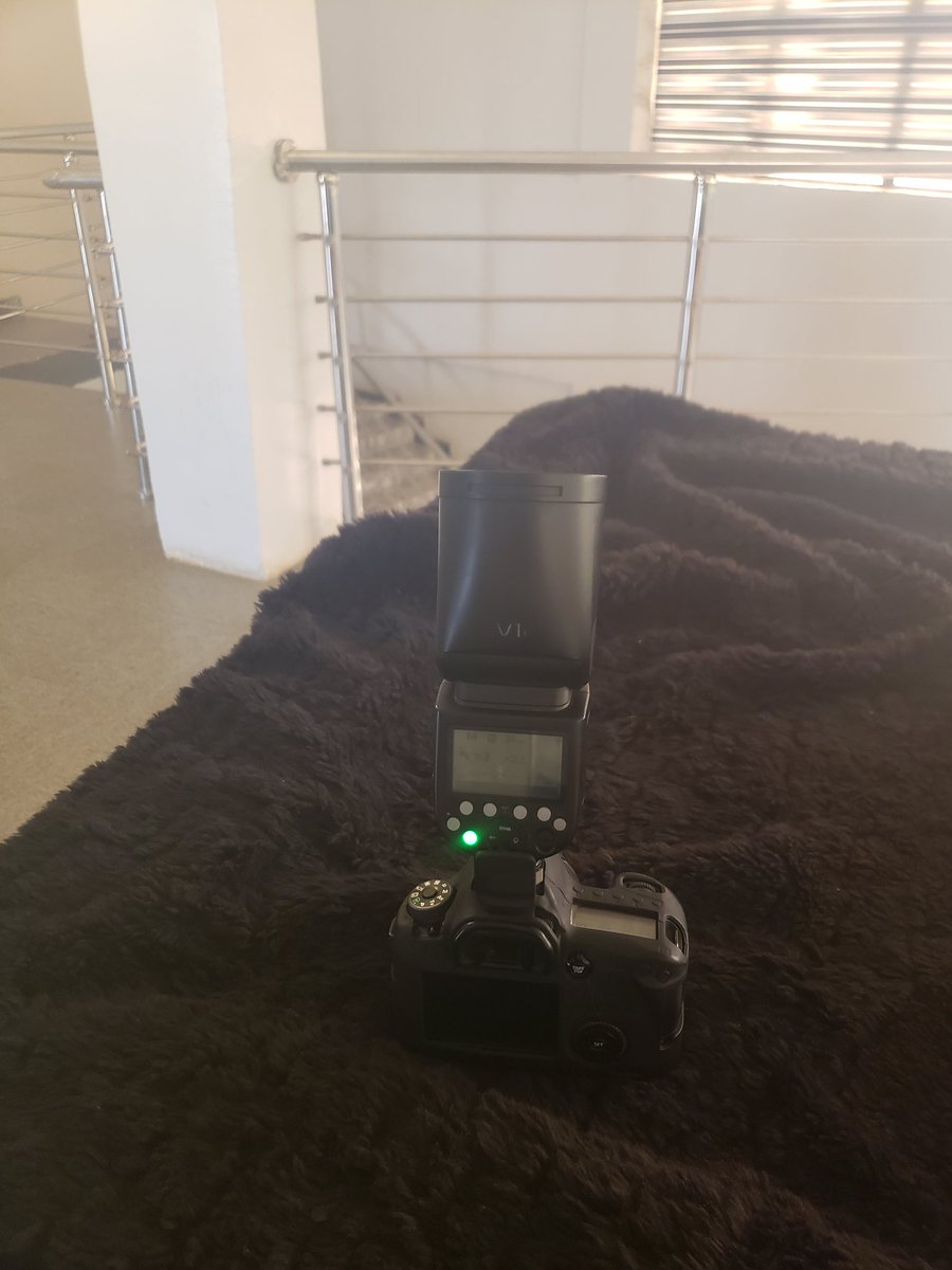 iskolodo tweet media