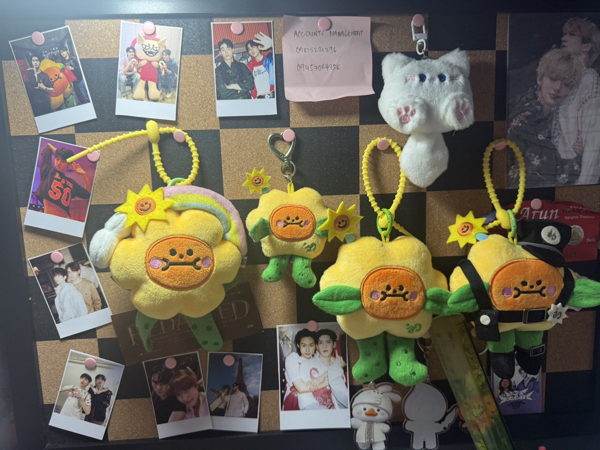 Z | BL era tweet media