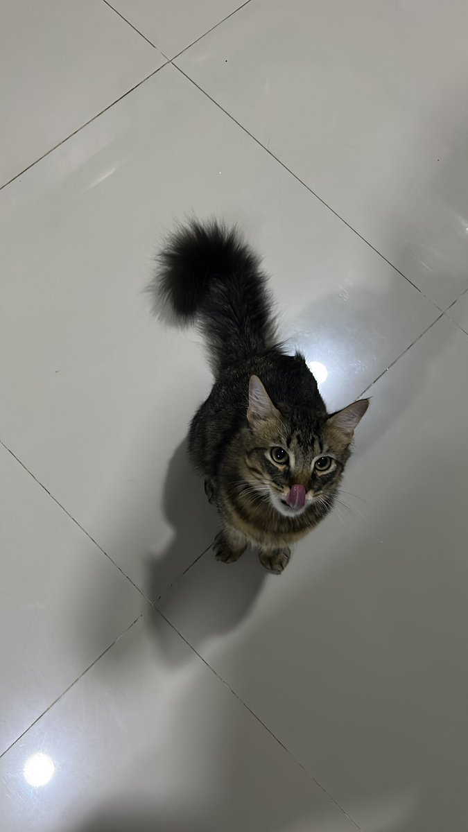 Manu del moral tweet media