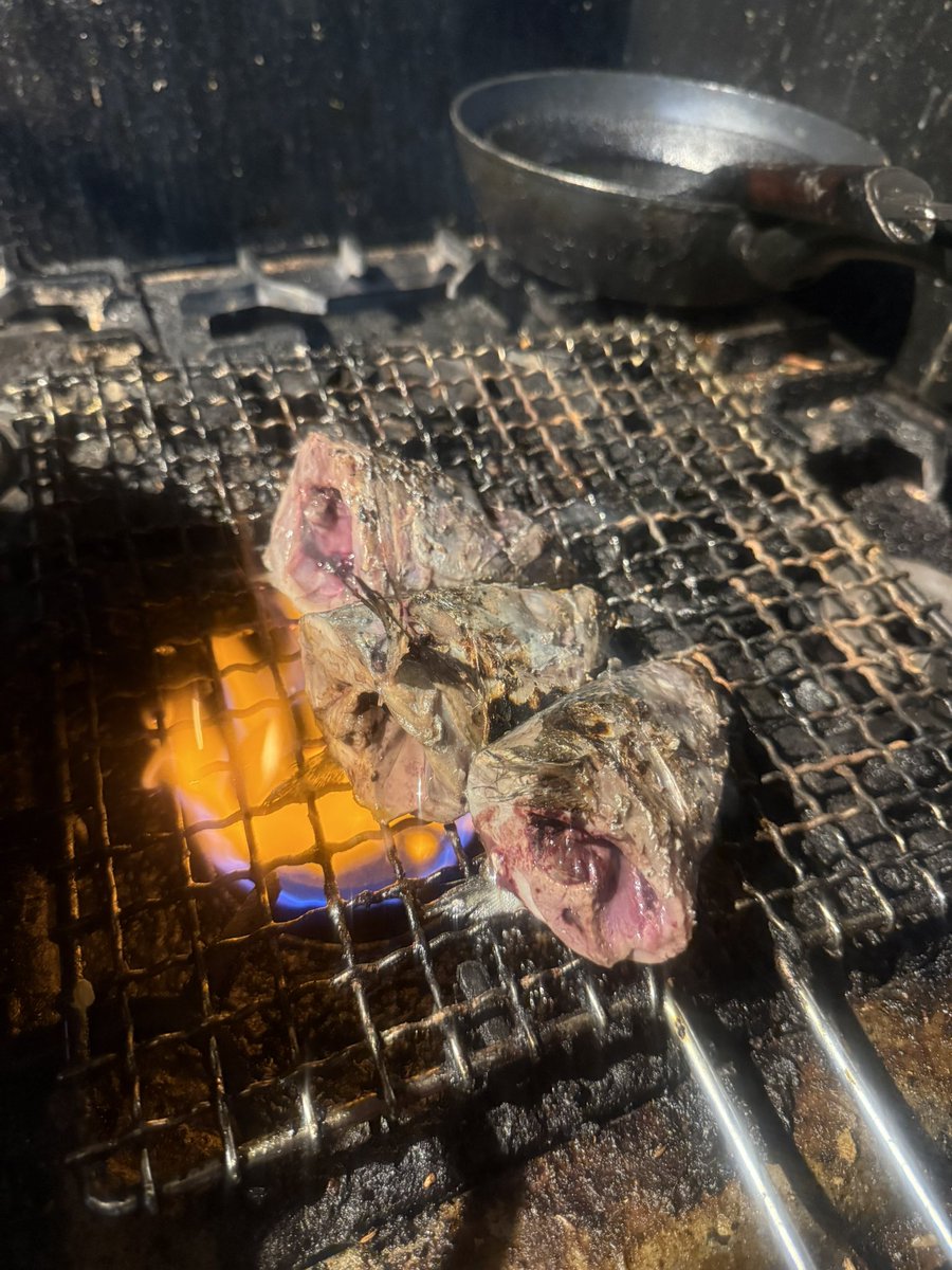 アマゾネス・ブッチャー tweet media