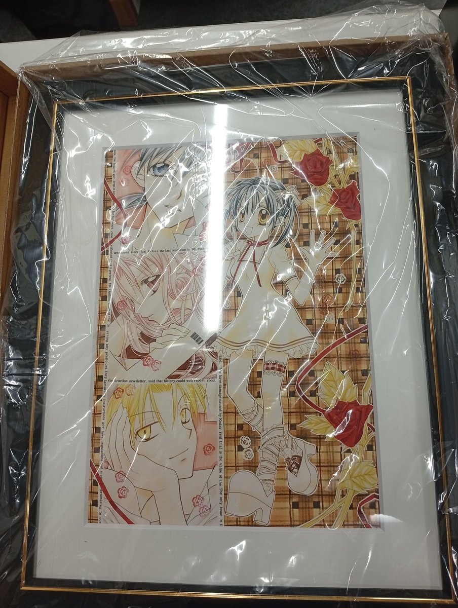 入荷情報】 種村有菜30周年記念展きらめく少女たちの夢物語A賞 額装
