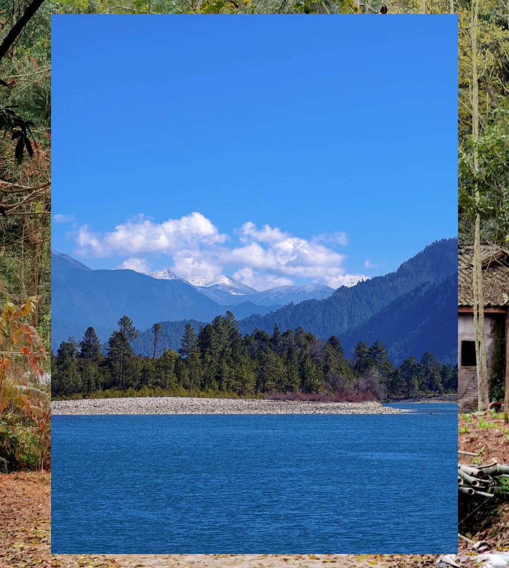 Terry Ruff tweet media