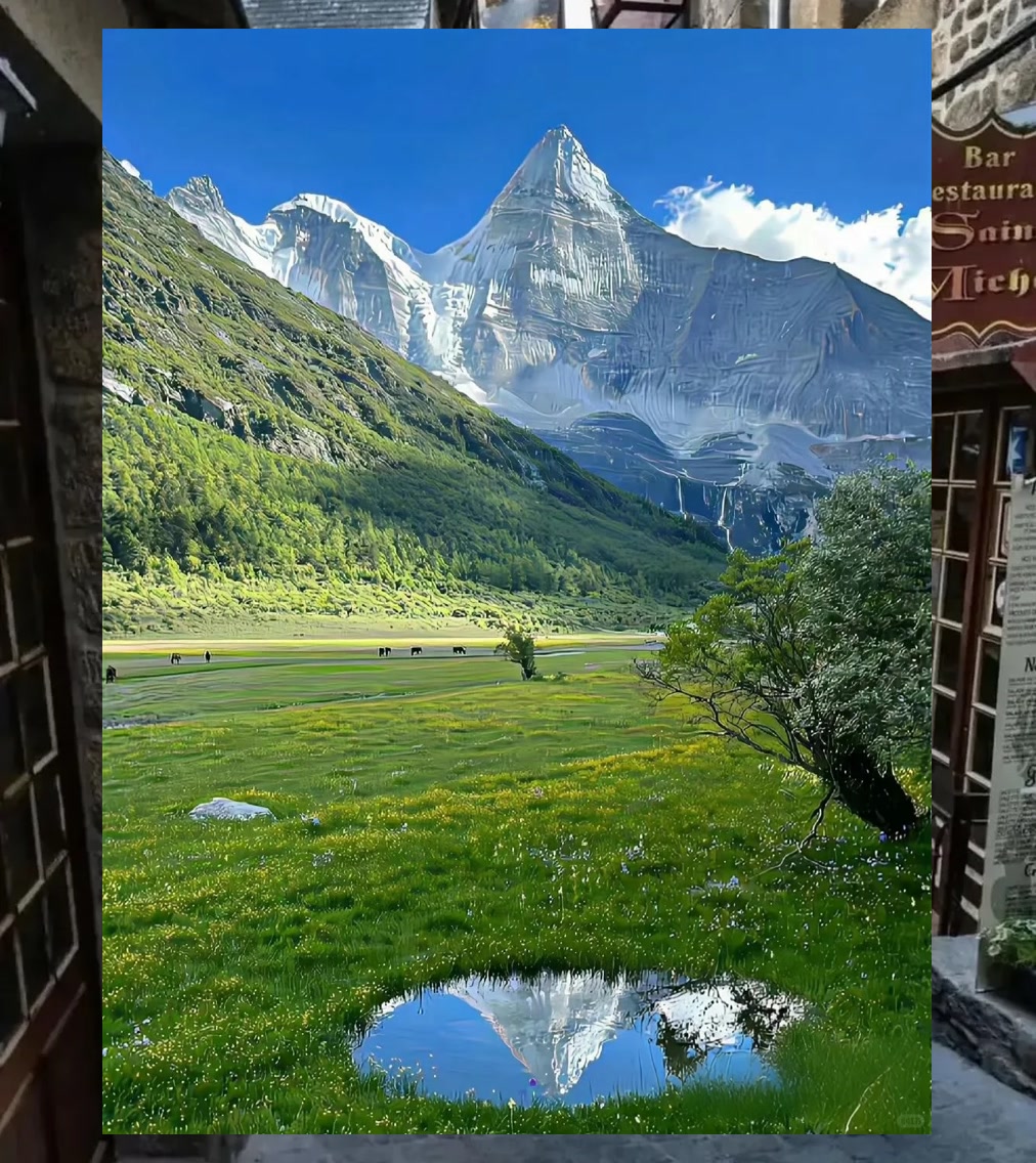 Scott Smith tweet media