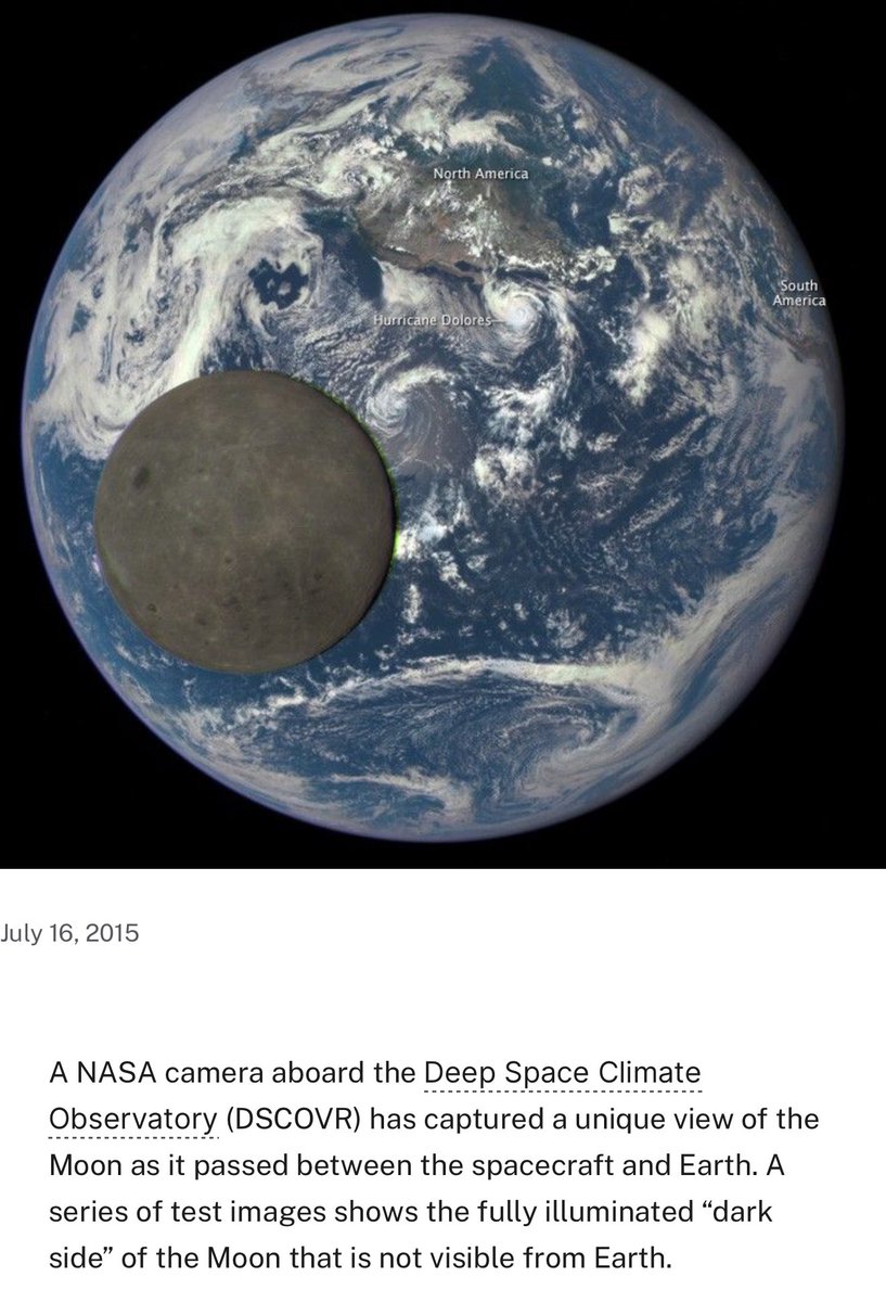 Owen Benjamin 🐻 tweet media