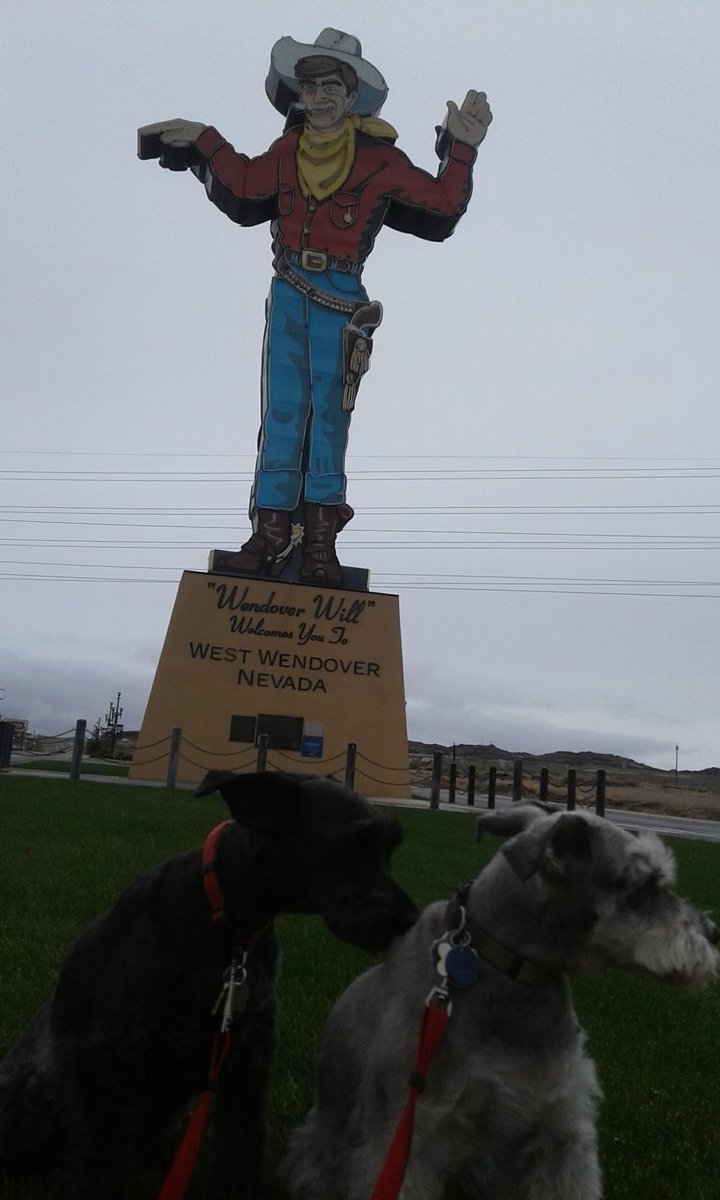 Neilfan12's tweet image. #ThrowbackThursday 7 years ago today I was in #Wendover, NV (April 15-16, 2019) with my mom &amp;amp; our dogs (all 3's last time, having died since). Pics I took... 1st: our motel, 2nd: Mom at Oceano Buffet, 3rd: inside Peppermill Casino &amp;amp; 4th: #Keno &amp;amp; #Louie by Wendover Will. 🎰