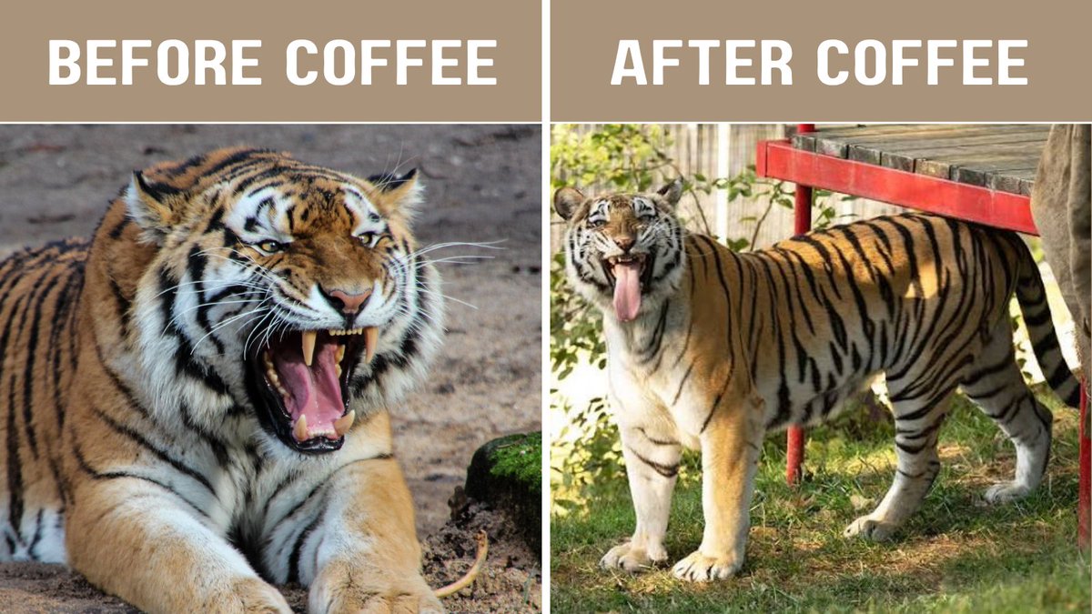 PixelUnderdog's tweet photo. Genm genfrens 
My first official POC 
Have a cup of coffee or tea today ☺️☕ 
Enjoy 😍 https://t.co/wSMXZ1PhVF