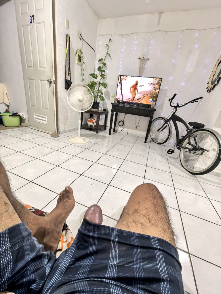 Lobo de Lua tweet media