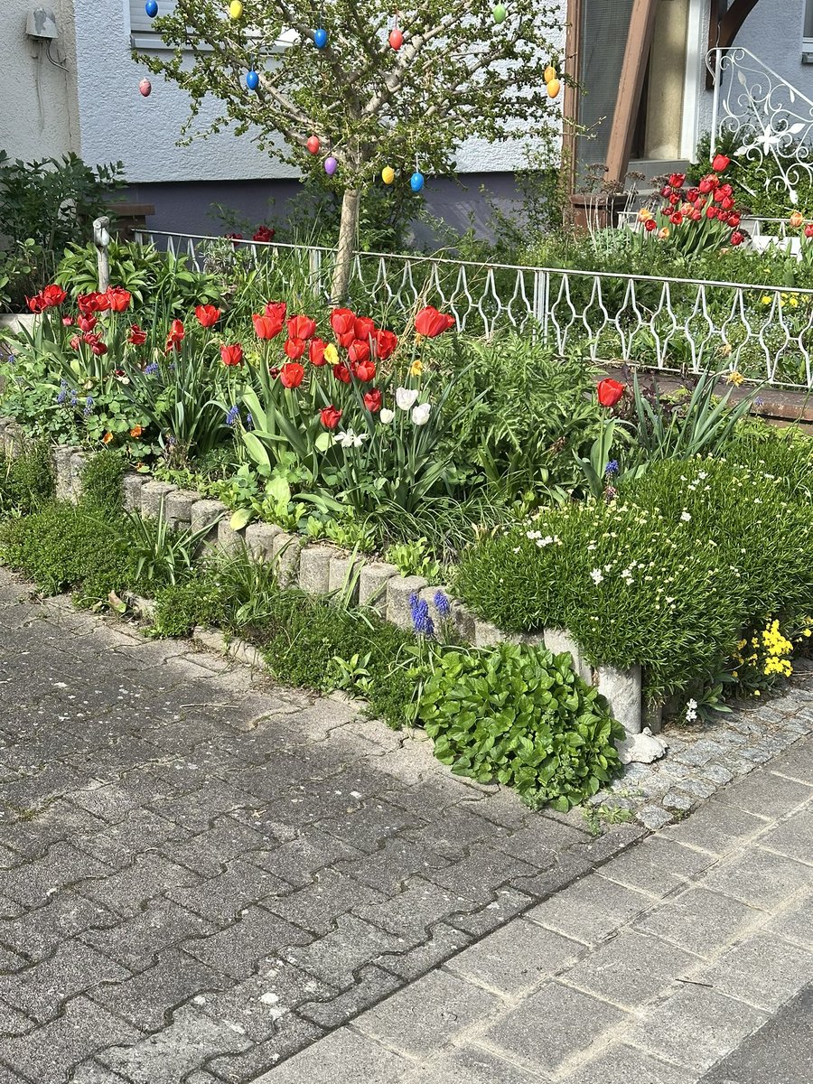 Emil Antonov tweet media