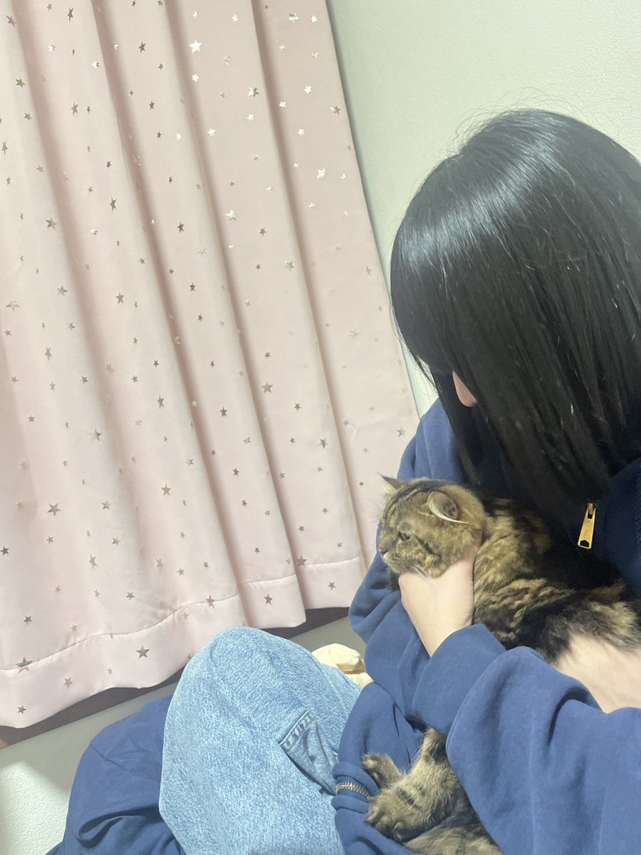 冬季限定 tweet media