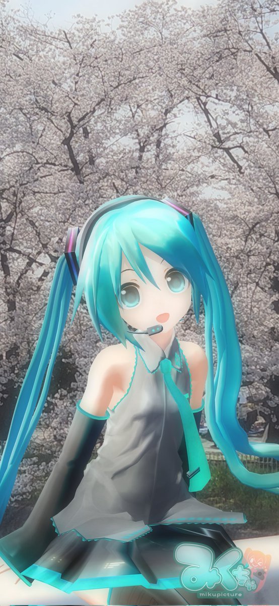 #初音ミク　 もう葉桜になってしまいましたが、今年も綺麗な桜でした❤️