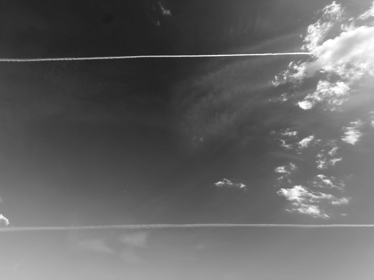 a real person tweet media