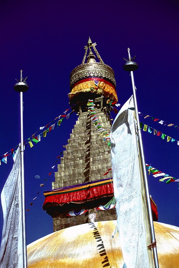 Derek Bailey tweet media