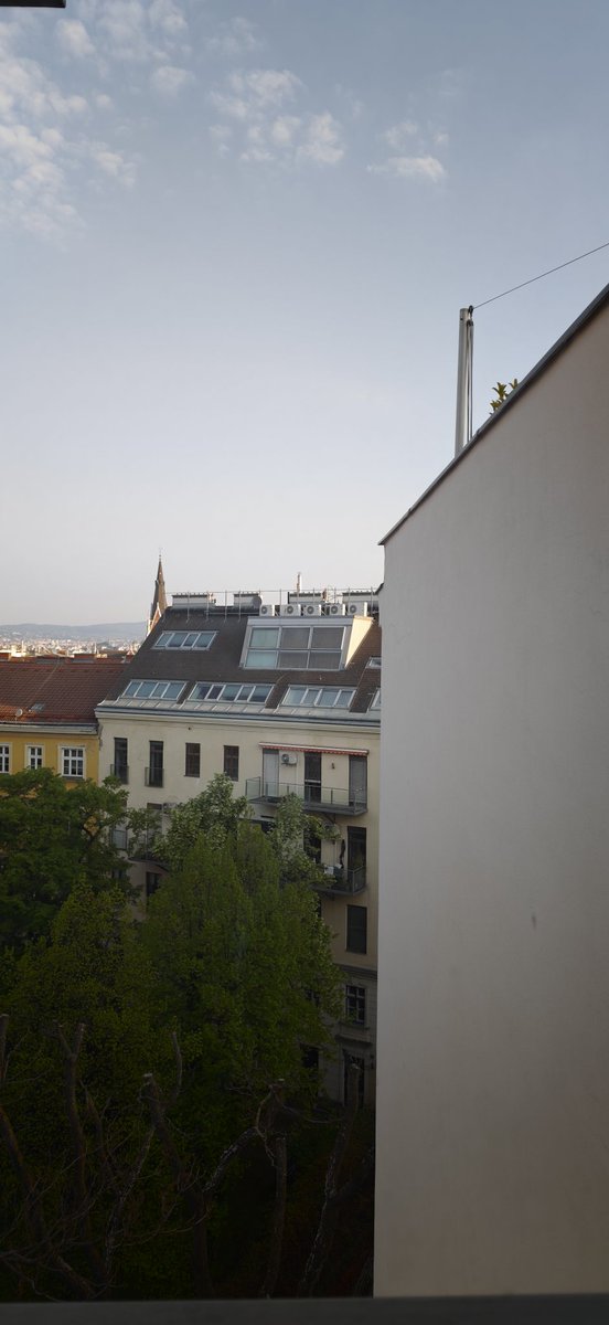 狗狗 / สุนัข 🐶 tweet media