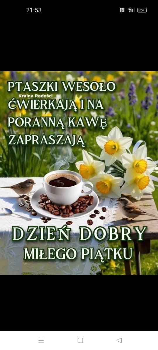 Kazimierz tweet media