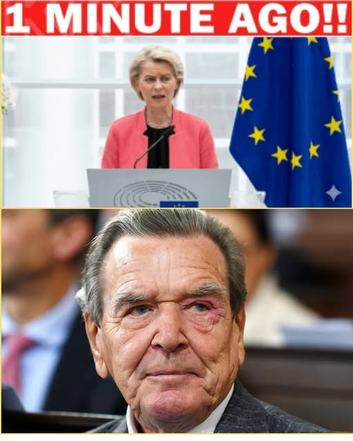 Make Europe Great Again - M.E.G.A tweet media