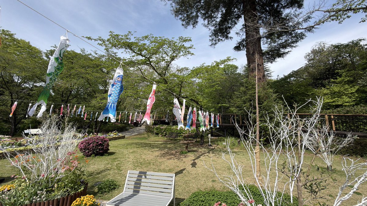 すかいめめ tweet media