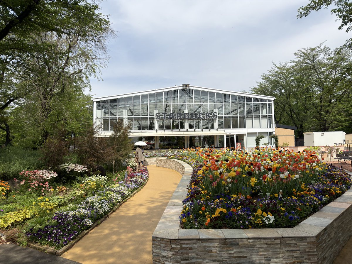 すかいめめ tweet media