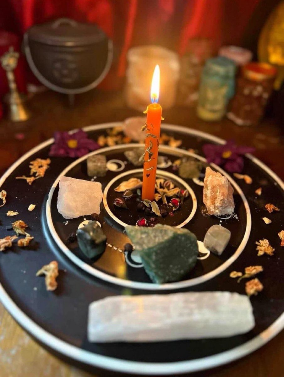 bonita lo thee oracle tweet media