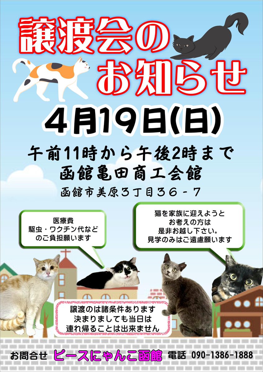 ピースにゃんこ函館＠うめこBB tweet media