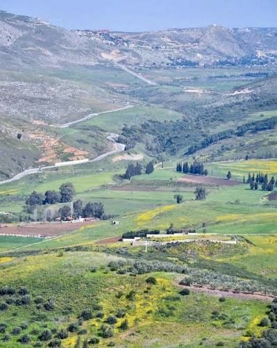 🇱🇧 NAdia tweet media