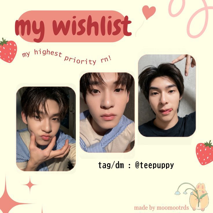 bib loving teeteepor 🍓 tweet media