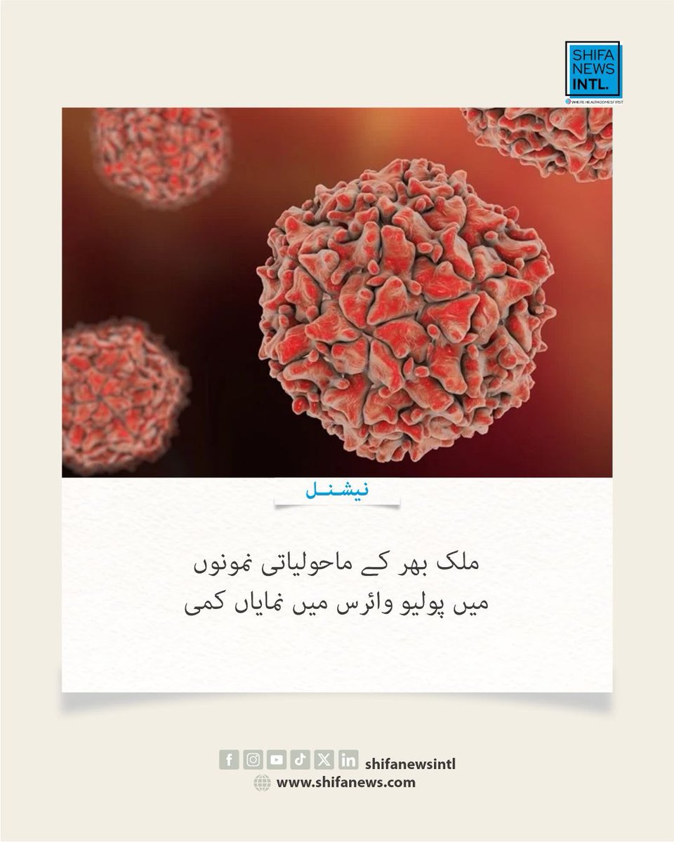 ShifaNewsintl's tweet image. مارچ میں 115 میں سے صرف 12 ماحولیاتی نمونوں میں پولیو وائرس پایا گیا۔ پنجاب کے تمام نمونے منفی—دیگر صوبوں میں محدود کیسز، مجموعی طور پر واضح کمی ریکارڈ۔

#Polio #EndPolio #Pakistan #PublicHealth #HealthUpdate