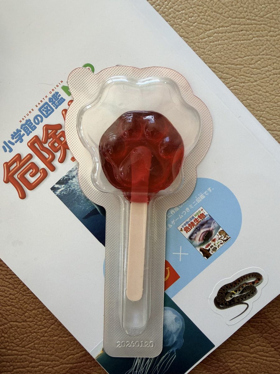 リョウ・老梁 tweet media