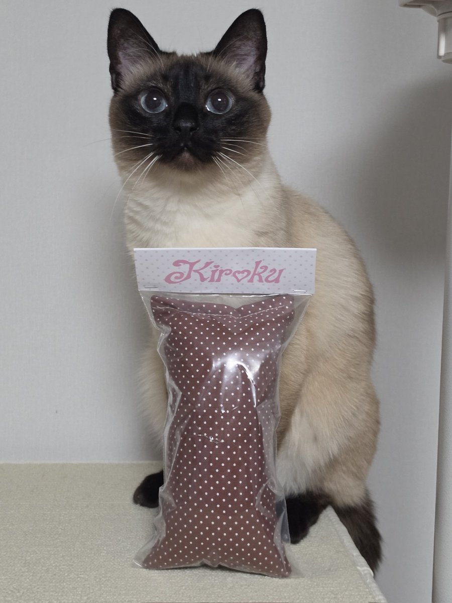 앵알이 tweet media