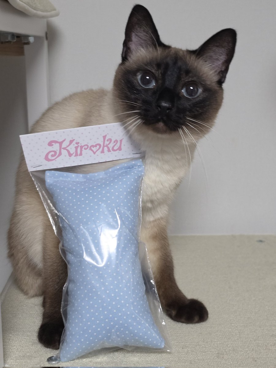 앵알이 tweet media