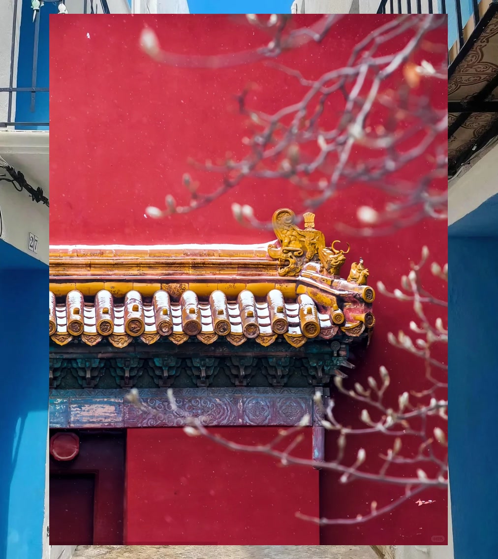 Reggie Comager tweet media