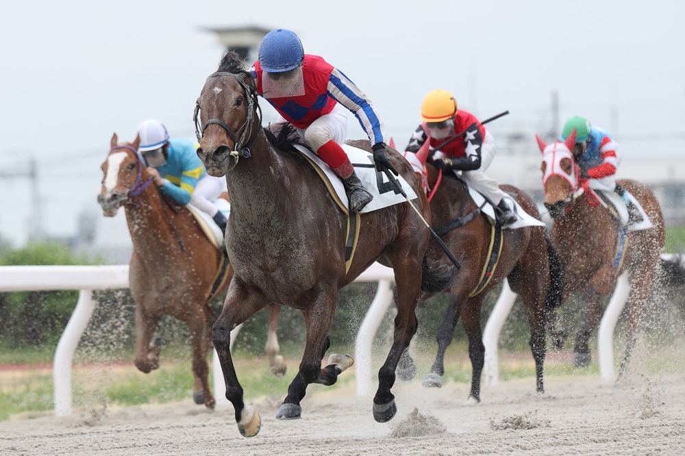 笠松競馬場 tweet media