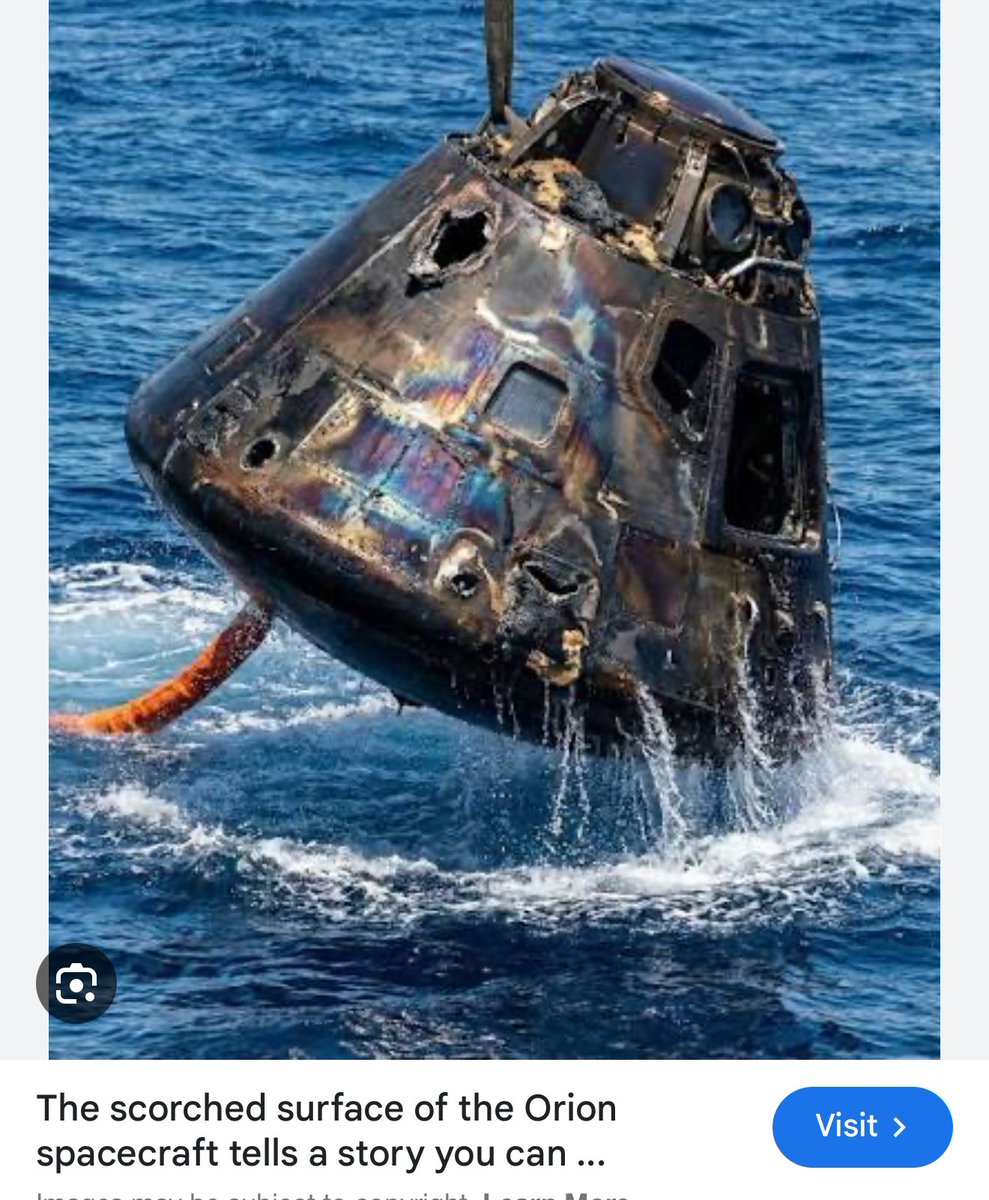 Owen Benjamin 🐻 tweet media