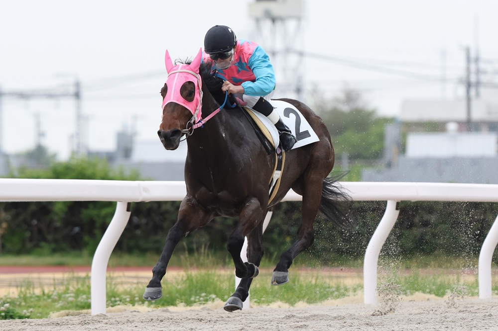 笠松競馬場 tweet media