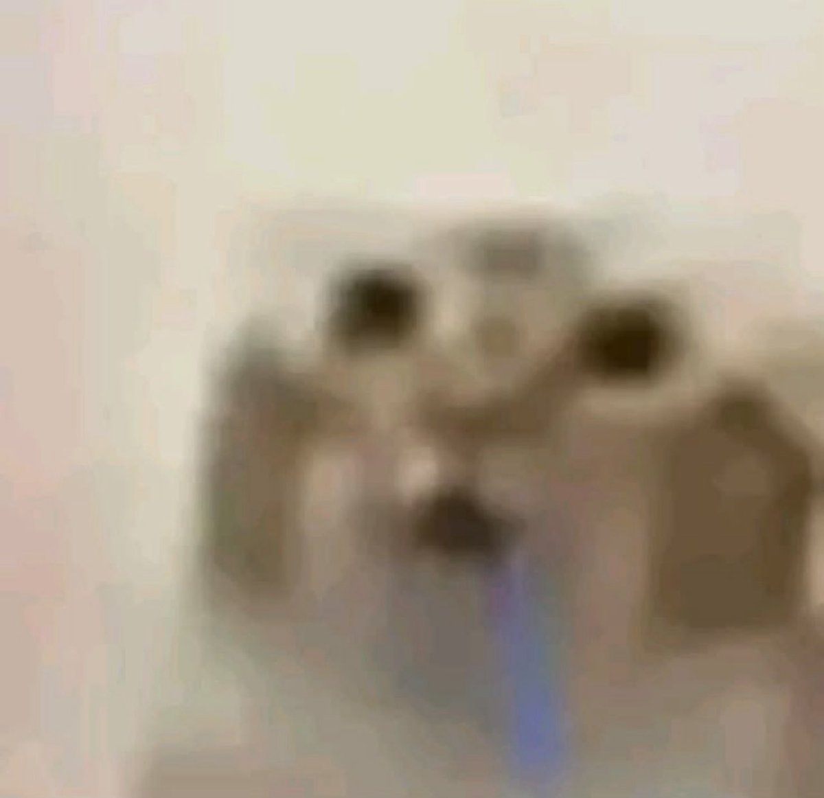 Dino🪲 tweet media