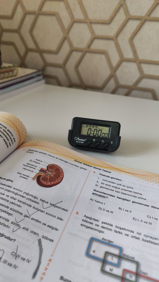 Ne bileyim Füsun tweet media