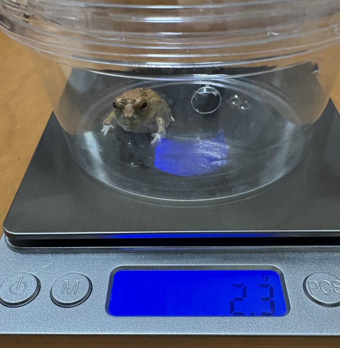 #1 streetcleaner fan (LVL UP 2026!!!!) tweet media