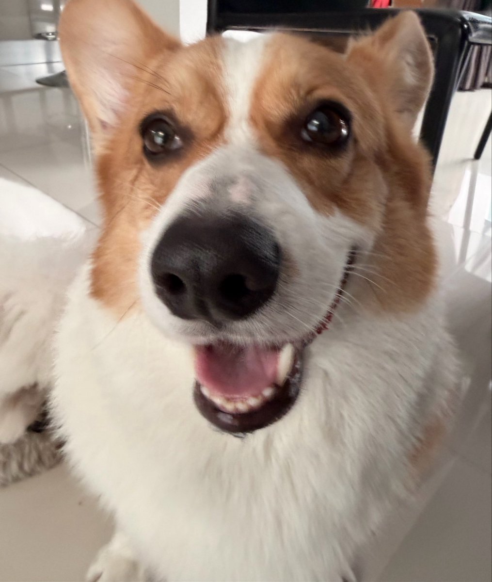 Kaosupassara tweet media