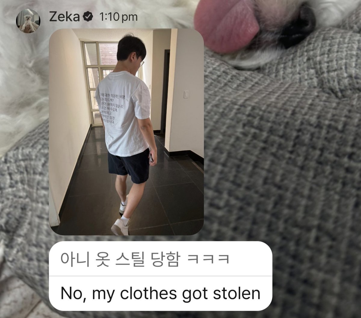 ⋆.gail¹⁰ tweet media