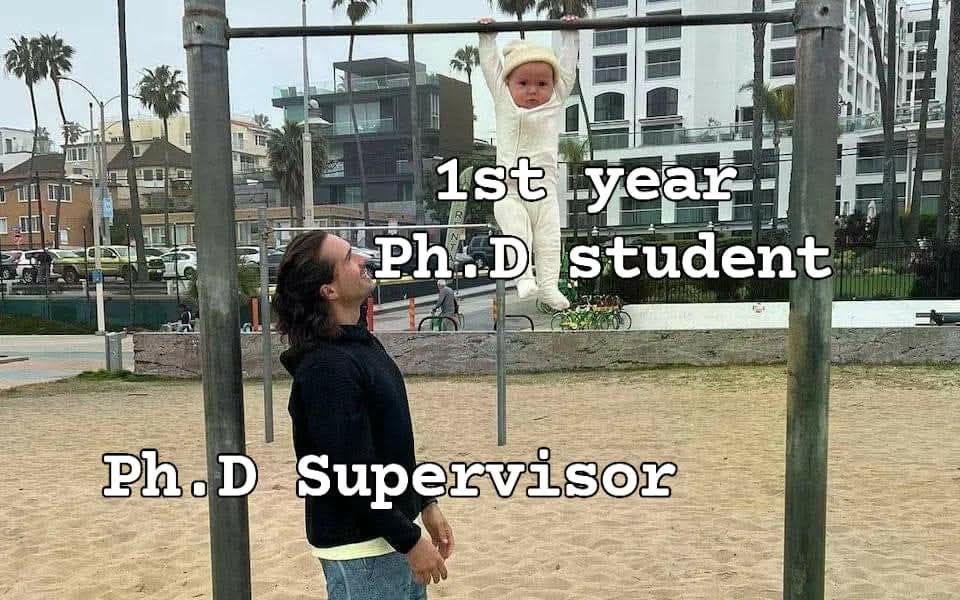 Scholarship for PhD (@scholarshipfphd) on Twitter photo 