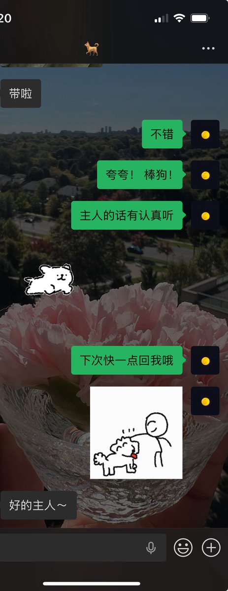 Victoria_忘生 tweet media