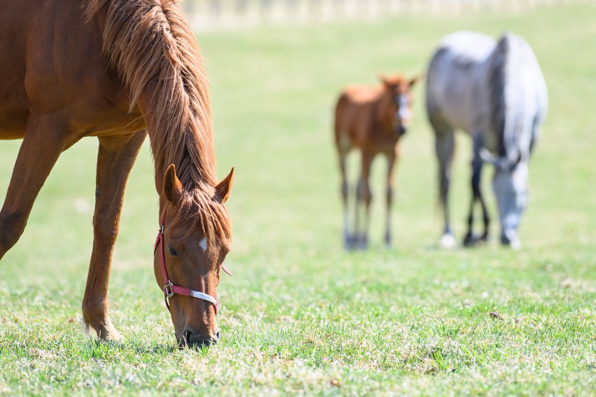 りり🫧🪼 tweet media