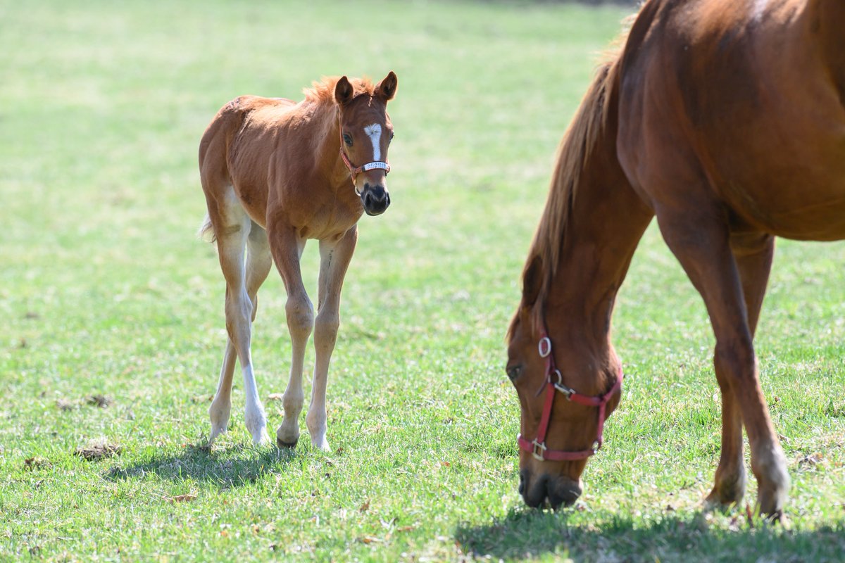 りり🫧🪼 tweet media